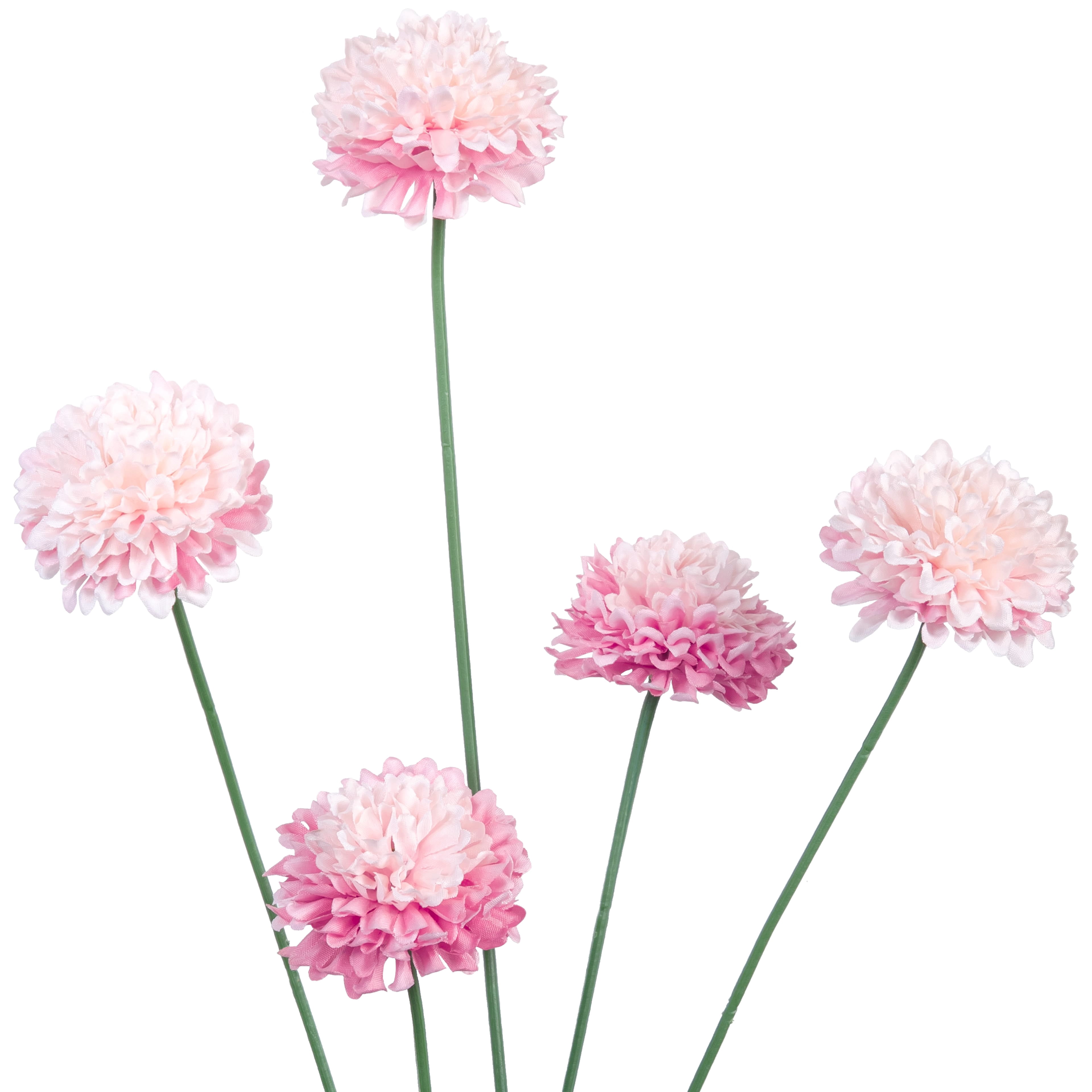 Ashland Pink Pom Pom Stem, 26" , 12 Pack