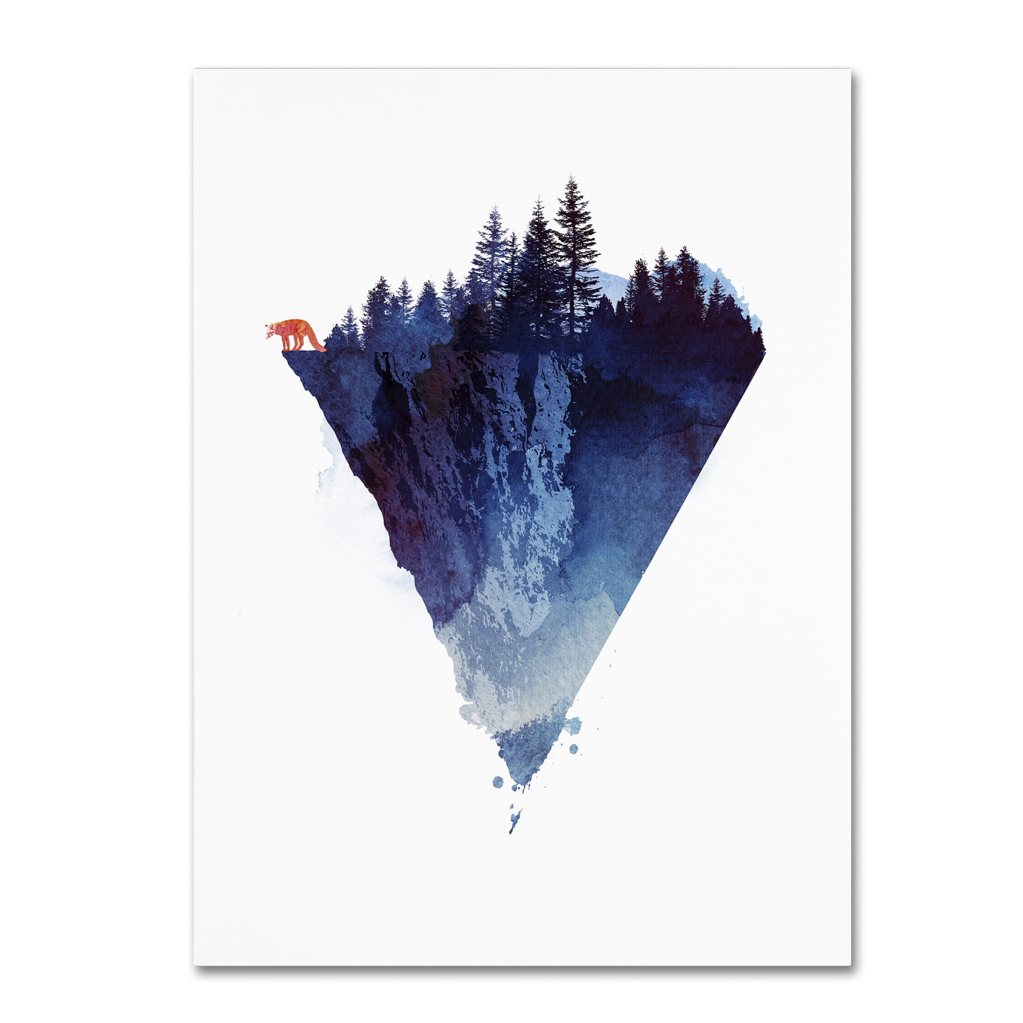 Trademark Fine Art 'Near To The Edge' Canvas Art by Robert Farkas