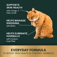 thumbnail image 4 of VetriScience Hairball Control Digestive Health Supplement Chews for Cats, Chicken, 60 Count Jar, 4 of 9