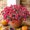 Red-RD Home Decor, variant on karymi Chamomile Wedding Artificial Bouquet European-Style Bouquet High-End Artificial Floral Arrangement Ceremony Floral Decorations House Decor Home Decor Valentines Day Gifts