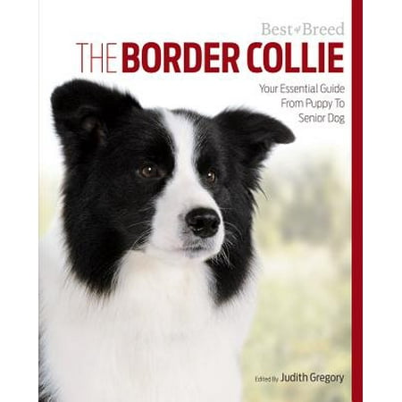 The Border Collie : Your Essential Guide from Puppy to Senior (Best Food For Border Collie Puppy Uk)