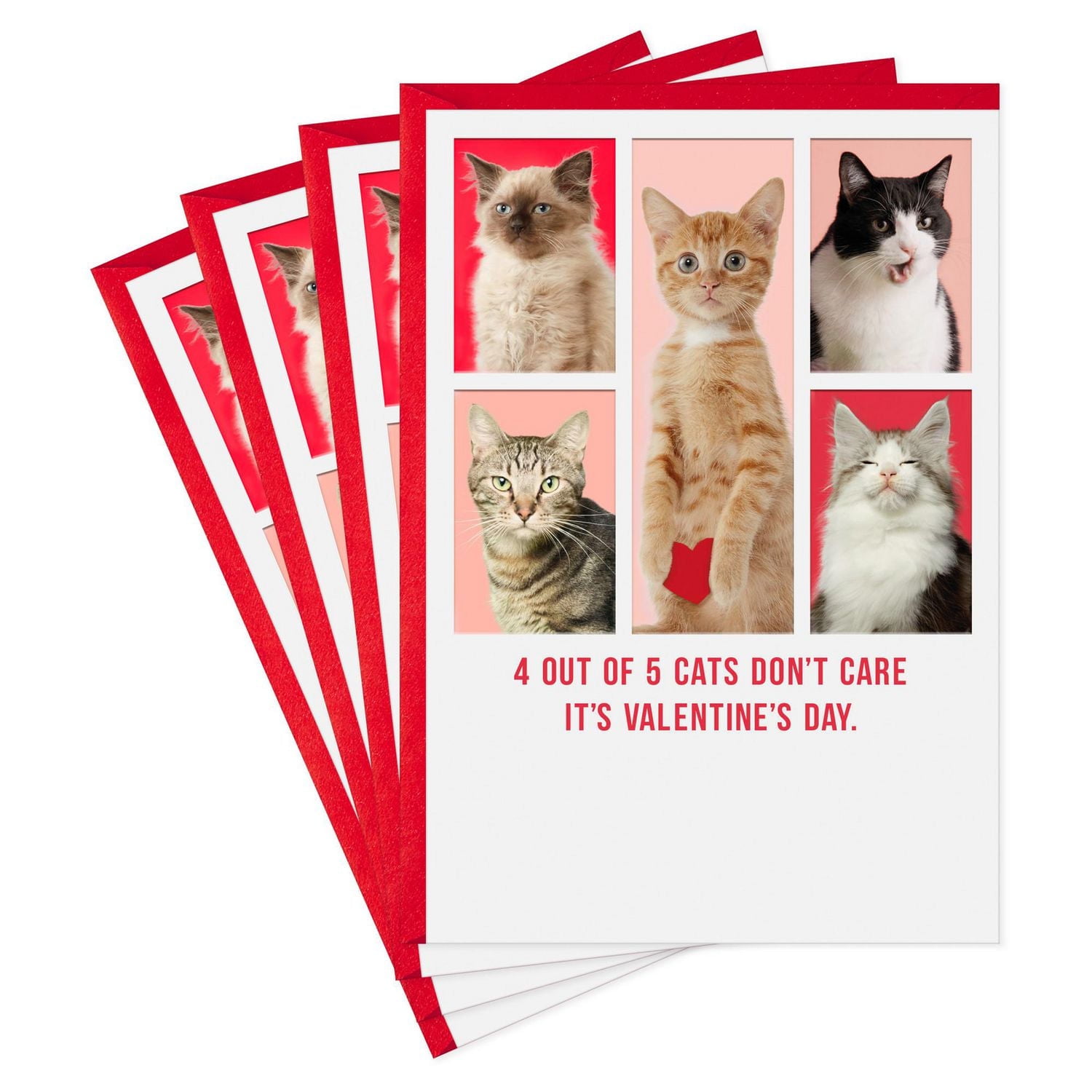 Paquet de 4 cartes comiques de la Saint-Valentin, Shoebox de Hallmark (« Cats Don't Care »)