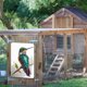 thumbnail image 3 of Vintage Placa Metal Colibrí Rectangular Pintura Hierro Arte La Pared 20x30cm, 3 of 9