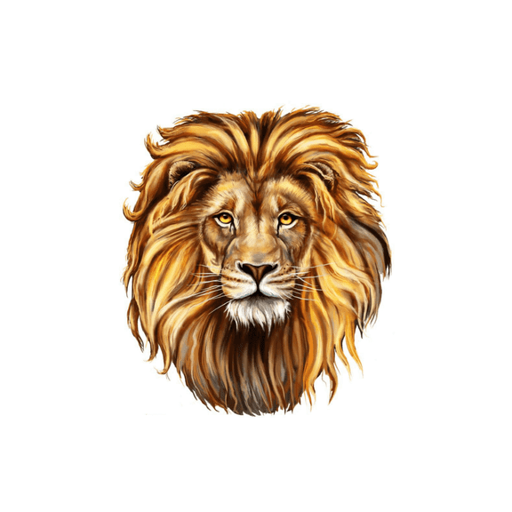 Lion Head Birthday Edible Icing Image Cake Topper, by Tnct.