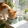 thumbnail image 4 of SHENGXINY Stainless Steel Cat Food Bowl and Water Bowl Set - 2 in 1 Automatic Gravity Water Dispenser, Leakproof Clean Feeder for Small Medium Dogs & Cats Blue 13.78x6.1x9.84in, 4 of 6