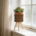 thumbnail image 5 of Indoor Plant Stand Flower Pot Holder, Decorative Plant Display Rack Space Saving Multi Tier Planter Shelf Elegant Home Decor Organizer, Plant Stand Holder for Living Room Balcony Patio Garden, 5 of 6