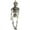 B, variant on Halloween Decoration Outdoor Halloween Skeleton Glow in The Dark Plastic Posable Skeleton with Movable Joints,Small Hanging Skeletons for Halloween Indoor Decor,Ghost House Graveyard Props