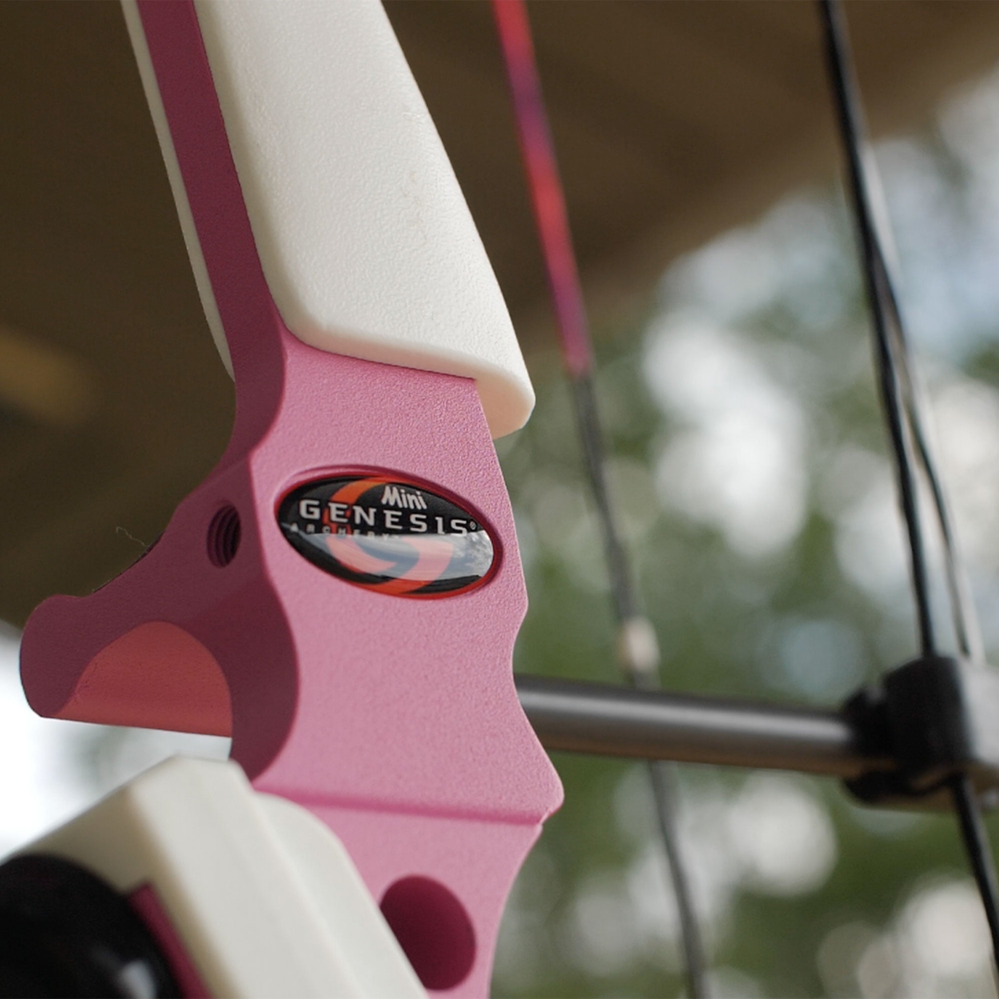 Genesis Original Archery Compound Bow, Adjustable, Draw Hand-Right, Black