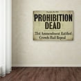 thumbnail image 3 of Trademark Fine Art "Prohibition" Canvas Art by Color Bakery, 3 of 3