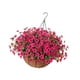 thumbnail image 4 of Flores artificiales colgantes en cesta con forro de coco para jardín y césped. Rosa, 4 of 9