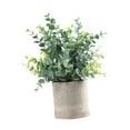 thumbnail image 3 of CoudarTitie Artificial Small Potted Plants Faux Plant in Pot 6x9.4inch Small Fake Plants for Eucalyptus, 3 of 9