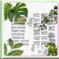 thumbnail image 2 of 2 PCS Happy Holidays & Good Luck Greetings Clear Rubber Stamps Set for DIY Cardmaking, Scrapbooking & Embossing, 2 of 5