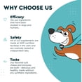 thumbnail image 3 of Eye Supplement For Dogs-Lutein, Zeaxanthin, Astaxanthin & Omegas-Tear Stain,Vision & Macular Support-2oz, 3 of 7