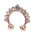thumbnail image 2 of QIQUWOHUL Nose Rings Hoops C-shaped Point Drill Nose Rings Nose Ring False Nose Nail Fake Nose Piercings Fashion Nose Jewelry, 2 of 4