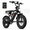 Black, variant on 5TH WHEEL LB16 750W Electric Bike for Adults, 20" × 4 Fat Tire E Mountain Bikes, 48V 14.5Ah Removable Battery, Front Suspension, 7-Speed UL2849
