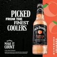 thumbnail image 6 of Jack Daniel's Southern Peach Malt Beverage, 6 Pack, 10 fl oz Bottle, 4.8% ABV, 6 of 11