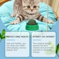 thumbnail image 6 of Mint Flavored Spinning Ball Cat Toy - Interactive Chew Resistant Rotating Fun Play for Indoor Cats, Kitten Enrichment Teaser Toys with Catnip Alternatives (1-Pack), 6 of 6