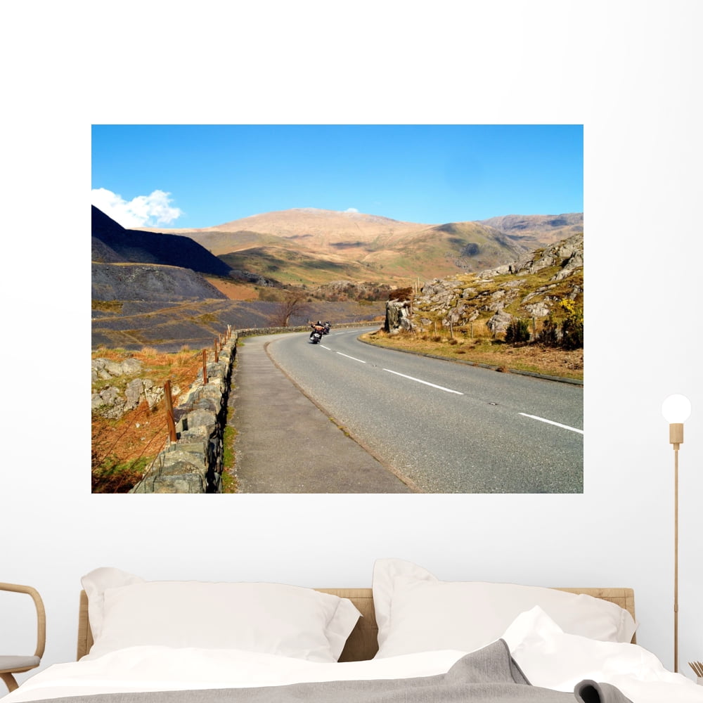 Easy Riders Wall Mural Decal by Wallmonkeys Vinyl Peel and Stick ...