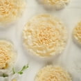 thumbnail image 2 of BalsaCircle 6 Ivory Cream Carnations 12" 16" 20" Large Tissue Paper Flowers Wall Backdrop, 2 of 5