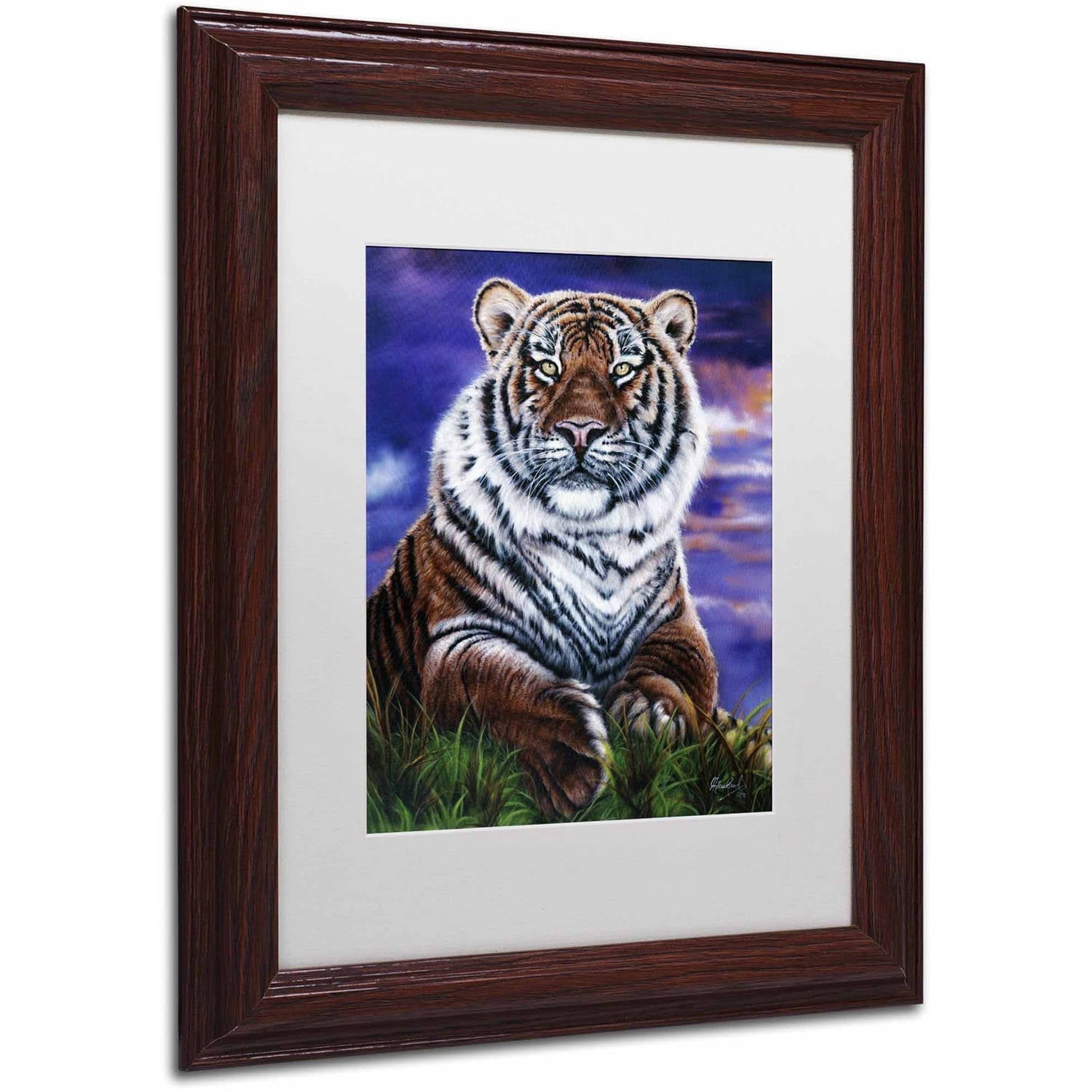 Trademark Fine Art 'Arizona Tiger' Canvas Art by Jenny Newland, White Matte, Wood Frame