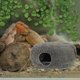 thumbnail image 1 of unbranded Cueva De Cerámica Con Detalles Finos Para Acuario Y Estético, 1 of 6