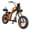 GOLD, variant on BIGNIU BG-X PRO Class 2 Electric Bike for Adults, 749W Rated Motor, 52V 29.4Ah Battery, 20 MPH Max Assist Speed, Fat Tire Electric Cruiser with Dual Suspension & Hydraulic Disc Brakes