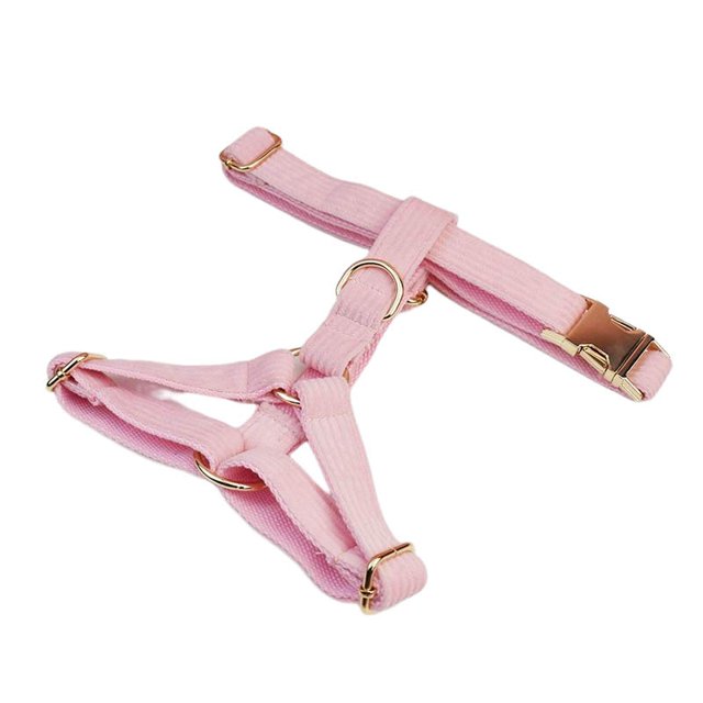 Pink Corduroy Dog Collar And Leash Set With Custom Engraved Nameplate