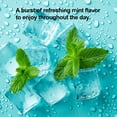 thumbnail image 3 of Nano Hydroxyapatite Xylitol-free Peppermint Mint Tin, 3 of 8