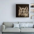 thumbnail image 3 of Hippie Hound Studios 'Black Background Owl' Canvas Art, 3 of 3