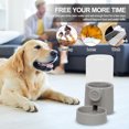 thumbnail image 3 of CSChome Pet Cage Feeder Automatic Rabbit Food Bowl Water Bottle Hanging Pet Feeder Bunny Ferret Dispenser, 3 of 7