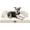 Beige, variant on Large Dog Bed Orthopedic Washable - Couch Sofa - XL Large Big Dogs - Beds Bolster Pet - Memory Foam - Waterproof with Removable Cover - Ginger Yellow Dog Bed
