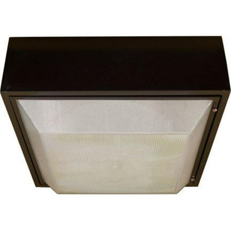 

One Light Outdoor Flush Mount
