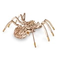 thumbnail image 3 of EWA Eco-Wood-Art Spider Construction Kit, 3 of 3