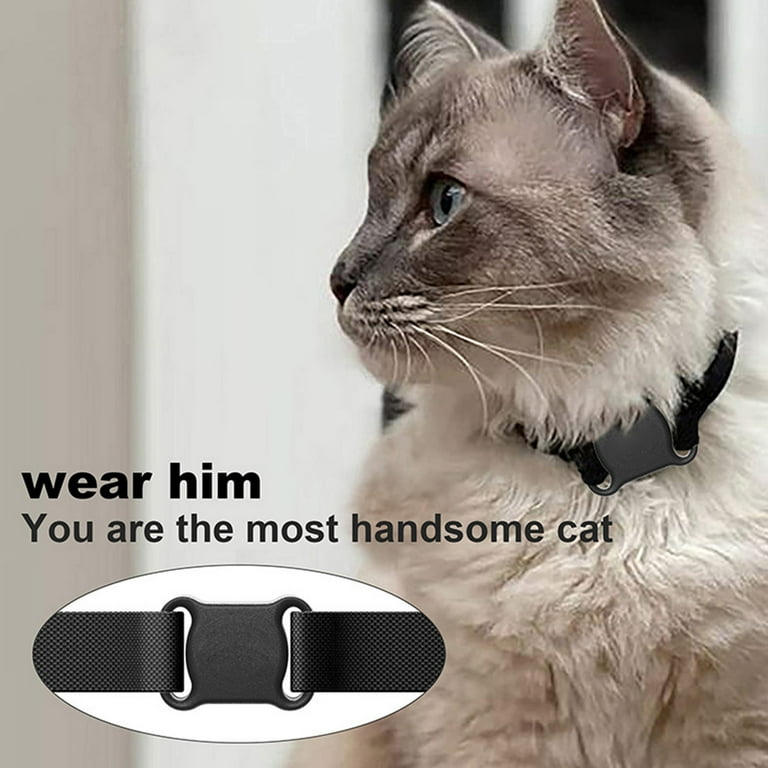 Pet locator outlet collar