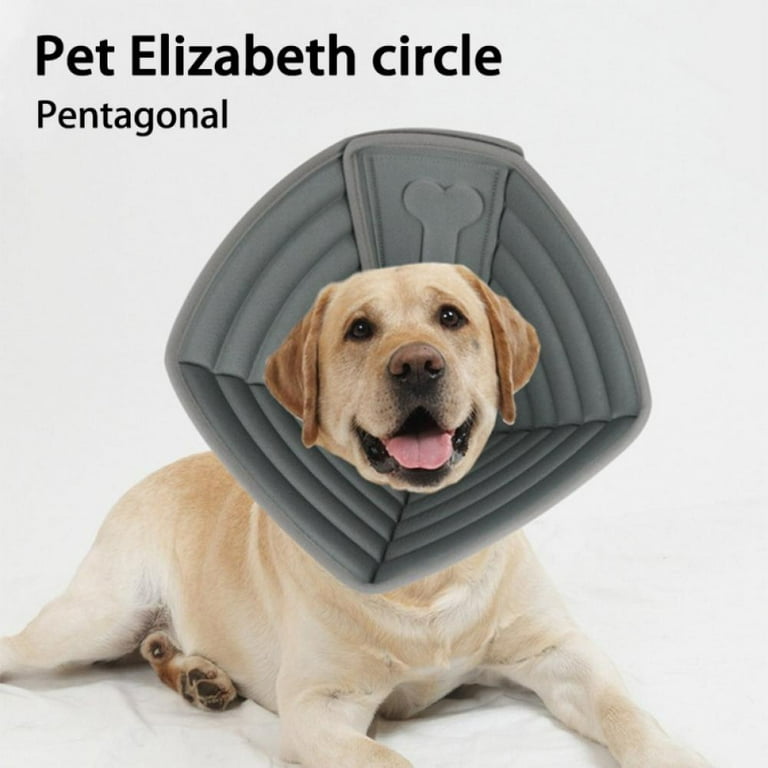 Elizabeth dog clearance collar