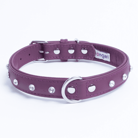 Collier pour Chien en Cuir ATHENS avec Strass