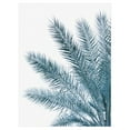 thumbnail image 1 of Cuadros Decorativos - Palma fresca Jr  Canvas, 1 of 2