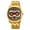 Gold Black, variant on Men's Lion Dance Dial Watch - Stainless Steel, Luminous, Water Resistant Quartz Watch