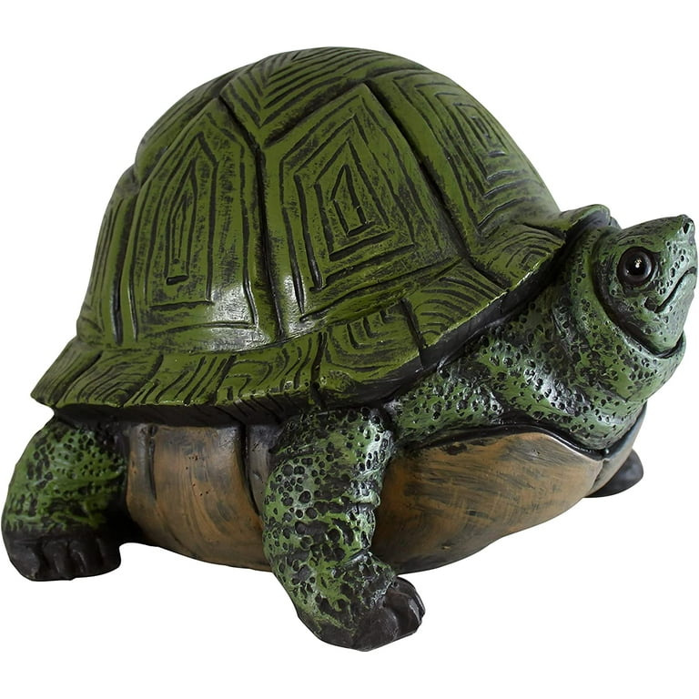 Tortoise essentials top