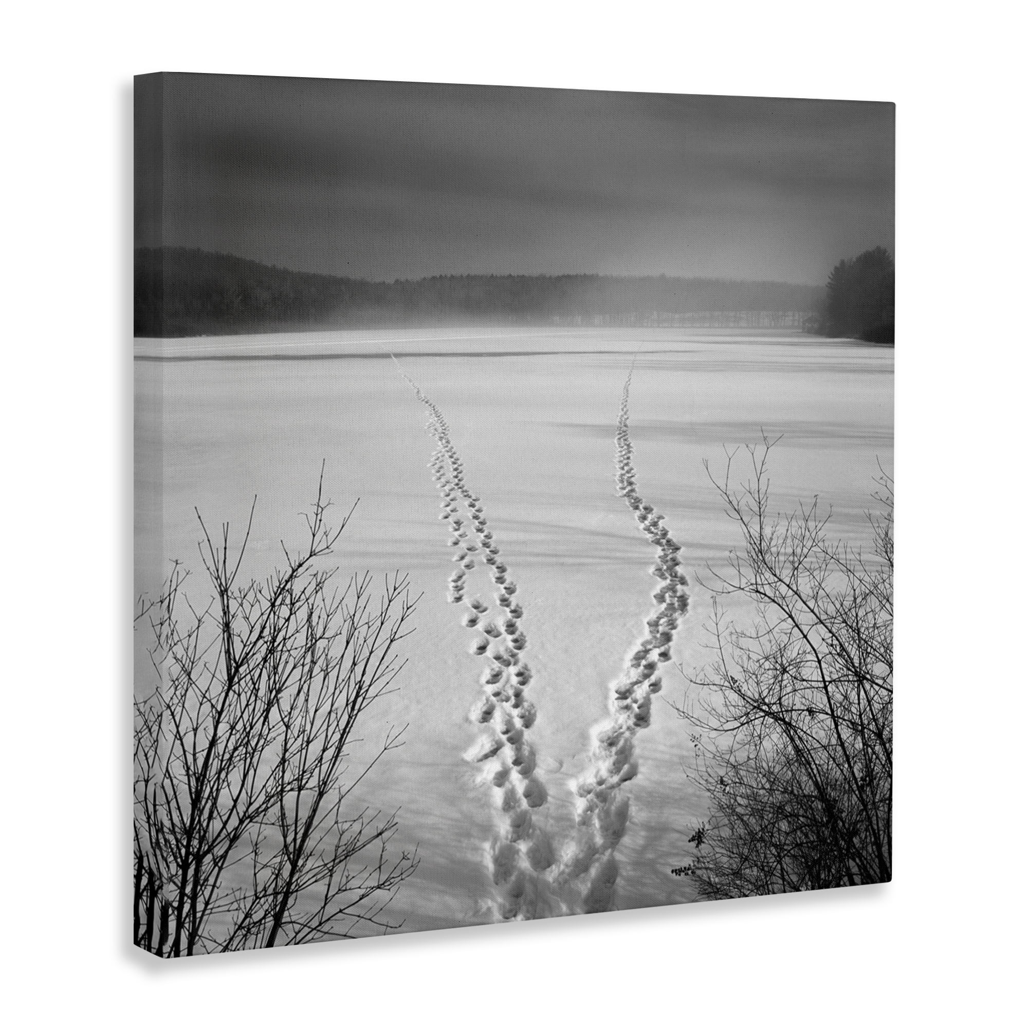 Stupell Industries Snowstep Tracks Across Frozen Lakes Canvas Wall Art, design by Chip Forelli