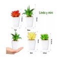 thumbnail image 2 of Set 4 de Suculentas Planta Artificial Decorativa, 2 of 3