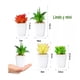 thumbnail image 2 of Set 4 de Suculentas Planta Artificial Decorativa, 2 of 3