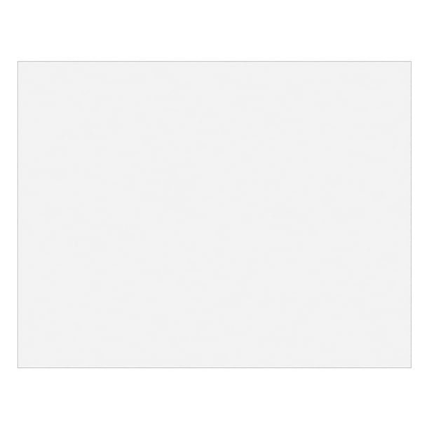 Staples Poster Boards 10-Pack White 22" x 28" (MMK04500S) 28126-US
