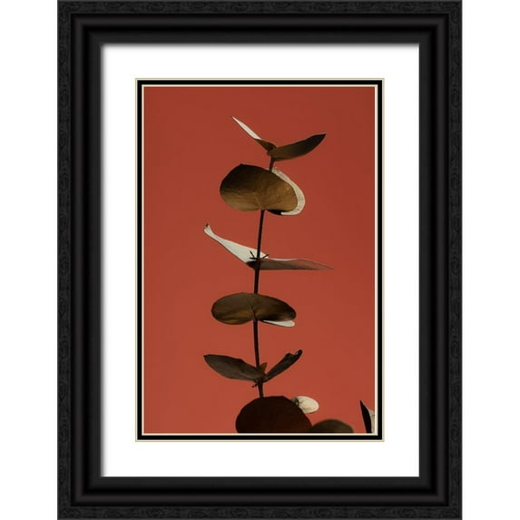 Artographie Studio 11x14 Black Ornate Wood Framed with Double Matting Museum Art Print Titled - Eucalyptus Gold Rust 04