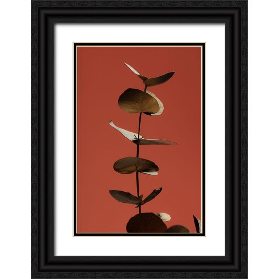 Artographie Studio 13x18 Black Ornate Wood Framed with Double Matting Museum Art Print Titled - Eucalyptus Gold Rust 04