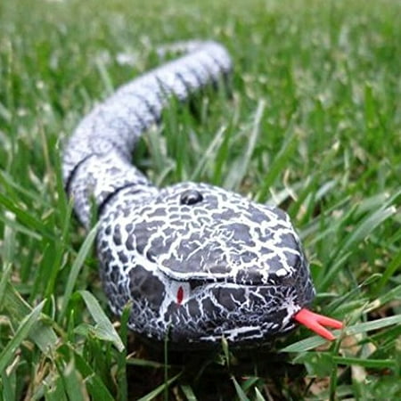 Anytec Realistic Remote Control Rattlesnake Snake Toy Rechargeable Rc Snake Toy 16 Prank Toys For Kids Live Video Hot Toys Black Walmart Canada Anytec Realistic Remote Control Rattlesnake Snake Toy Rechargeable Rc Snake Toy 16 Prank Toys For Kids Live Video Hot Toys Black Walmart Canada
