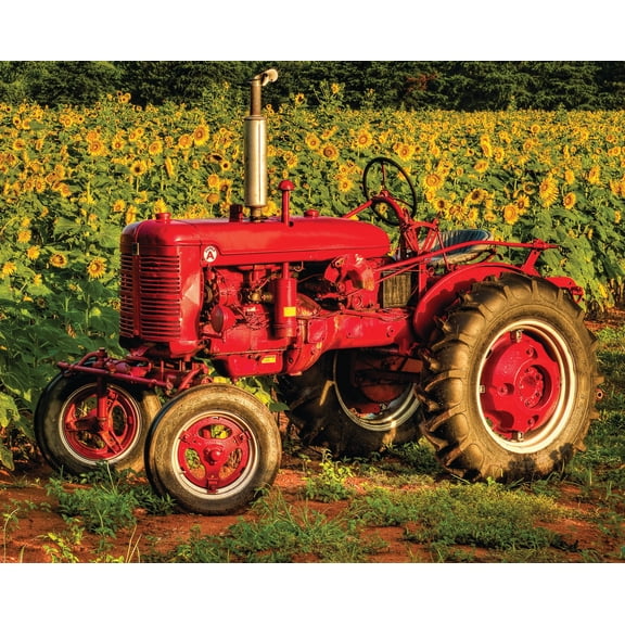 Springbok 1000 Piece American Made Jigsaw Puzzle for Adults