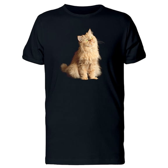 Red Cat Sitting Looing Up T-Shirt Men -Image by Shutterstock, Male 4X-Large