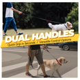 thumbnail image 2 of VIVAGLORY Laisse pour Chien Twingrip, Laisse pour Chien à Double Poignée pour l'Entraînement et la Marche avec Poignée de Circulation et 2 Boucles, Contrôle de la Circulation Réfléchissant Robuste pour Chiot Animal de Compagnie, 6 Pieds x 1/2 Po, Noir, 2 of 6