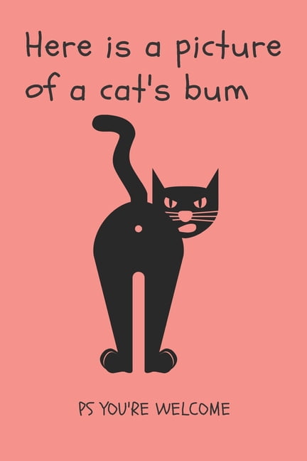 gifts for cat lovers walmart